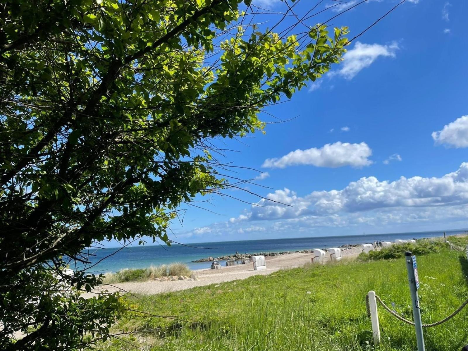 Ferien Am Strand, Urlaub An Der Ostsee Ferienwohnung Am Strand In Der Naehe Der Schlei, Umgebung Von Kappeln U Damp Brodersby-Goltoft Экстерьер фото