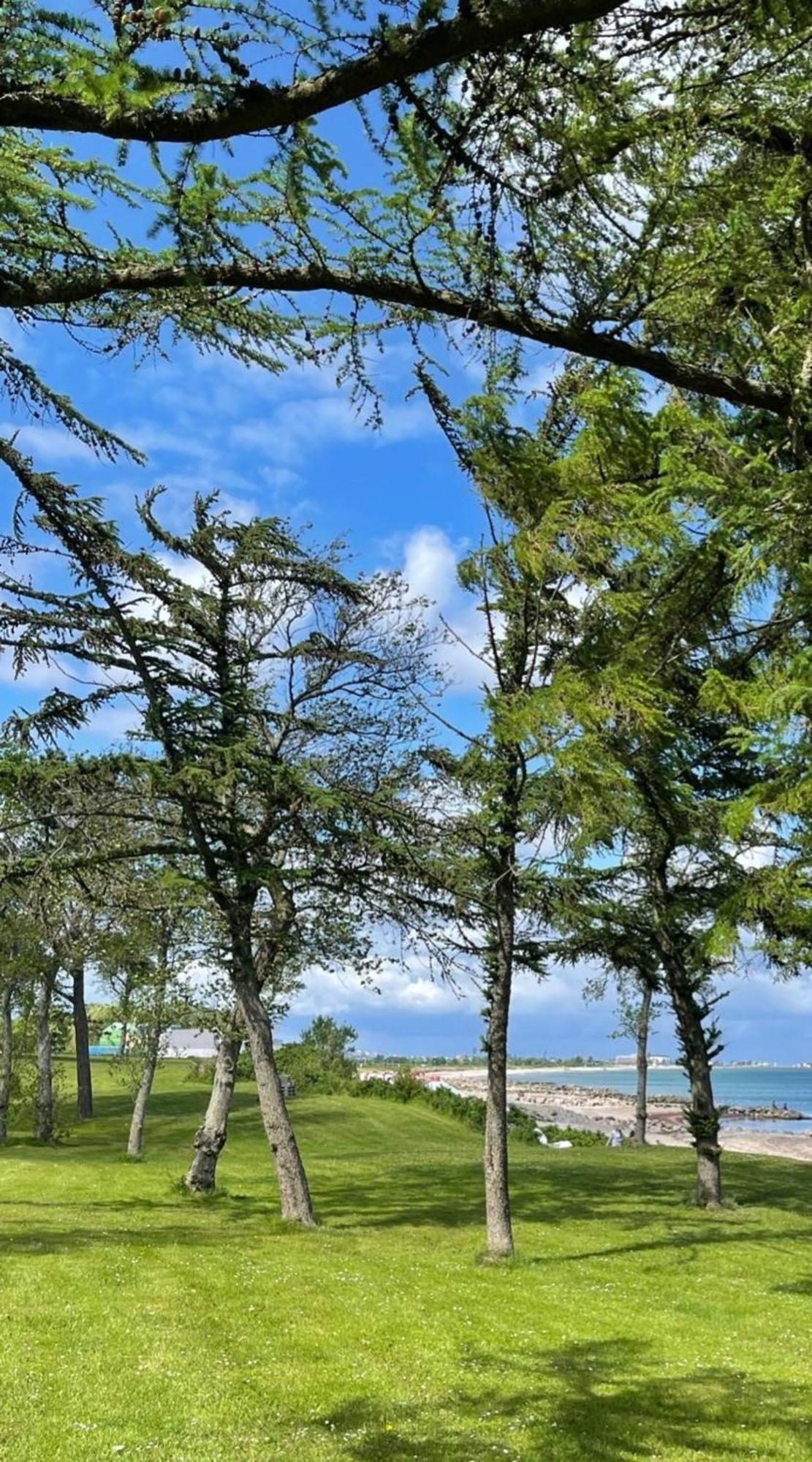 Ferien Am Strand, Urlaub An Der Ostsee Ferienwohnung Am Strand In Der Naehe Der Schlei, Umgebung Von Kappeln U Damp Brodersby-Goltoft Экстерьер фото